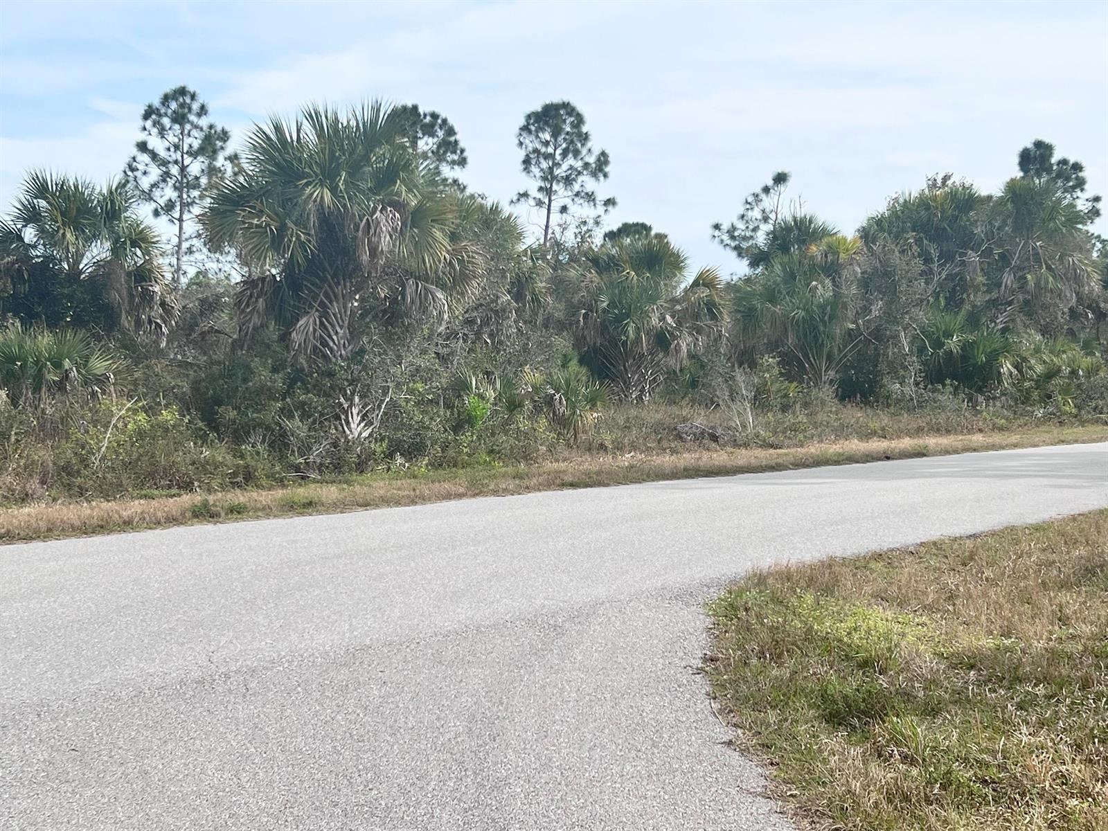 A paved road curves past a dense thicket of palm trees and native Florida vegetation — 310 Halloran Street, FL 33953, FL