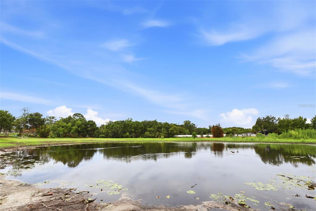 A small pond sits in the foreground of a grassy field with trees in the background — 3286 LAKE TWYLO ROAD, ORLANDO, FL