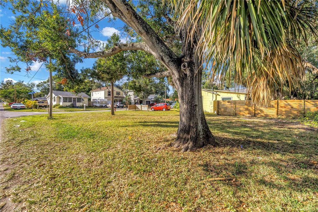 A large tree stands in the foreground of a grassy residential lot with nearby houses — PRESTON AVENUE S, GULFPORT, FL