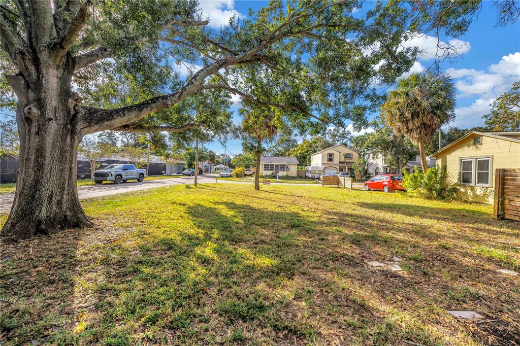 A large oak tree stands on a grassy lot next to a yellow house — PRESTON AVENUE S, GULFPORT, FL