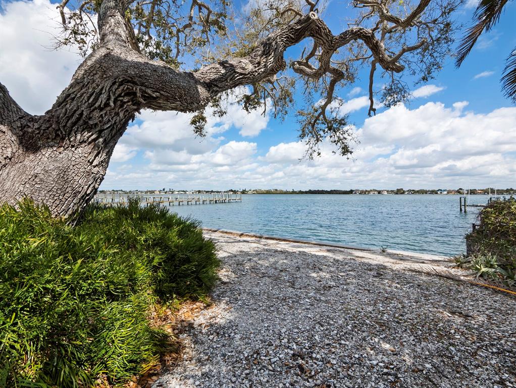 A large tree hangs over a shell-covered path leading to a waterfront view with docks — 1267 STARBOARD LANE, SARASOTA, FL