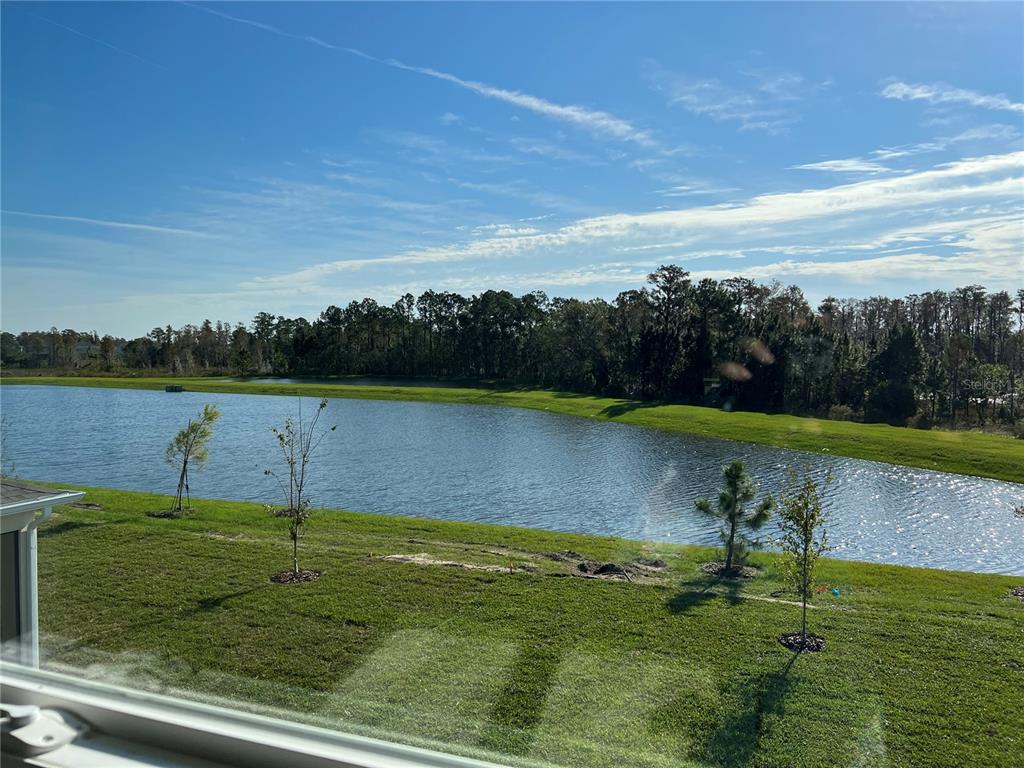 A view of a lake and a line of trees from a window — 17575 SAW PALMETTO AVENUE, CLERMONT, FL