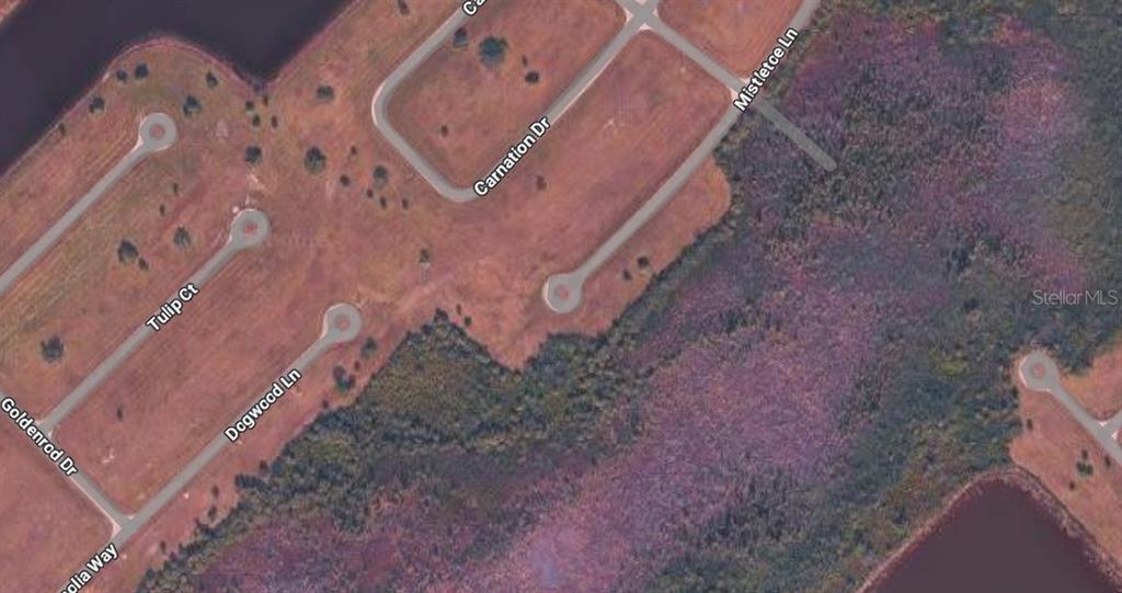 This is an aerial map view of a residential neighborhood with undeveloped lots and streets — 2 MISTLETOE LANE, PLACIDA, FL