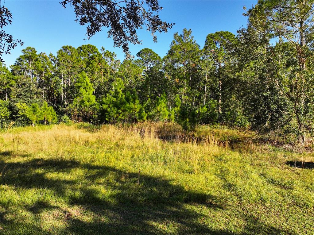 7161 OAK GLEN TRL, ST CLOUD, FL — photo 3 of 17