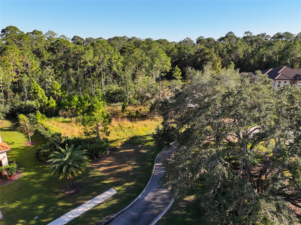 7161 OAK GLEN TRL, ST CLOUD, FL — photo 4 of 17