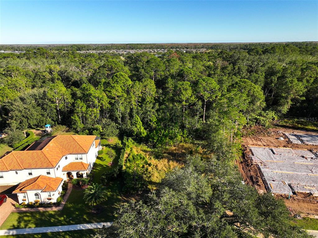 7161 OAK GLEN TRL, ST CLOUD, FL — photo 5 of 17