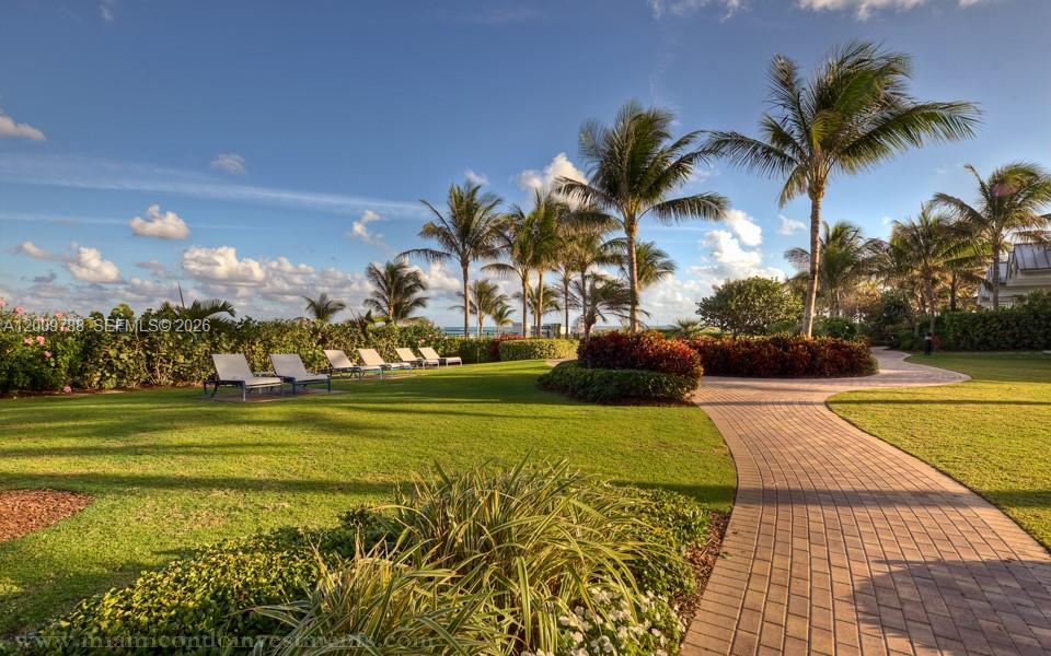 A paved walkway winds through a grassy lawn with palm trees and lounge chairs outdoors — 50 S Pointe Dr # 2102, Miami Beach FL 33139, MIAMI BEACH, FL