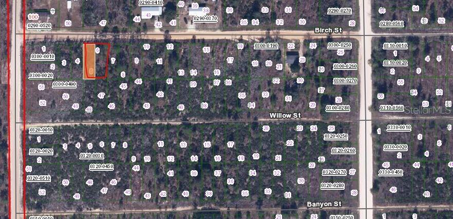 BIRCH STREET, INTERLACHEN, FL — photo 2 of 3