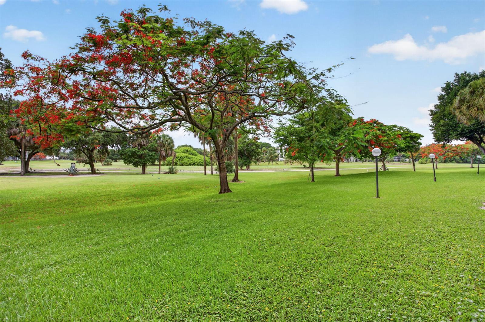 A grassy park area features several blooming royal poinciana trees and a few lamp posts — 3520 Oaks Way # 110, Pompano Beach FL 33069, POMPANO BEACH, FL