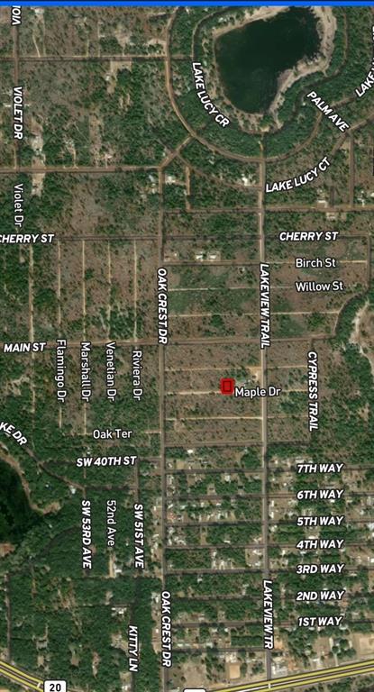 LOT 45 & 46 MAPLE DRIVE, INTERLACHEN, FL — photo 4 of 5