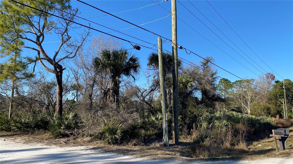 A vacant, wooded lot features utility poles and a mailbox along a dirt road — SR-415, NEW SMYRNA BEACH, FL