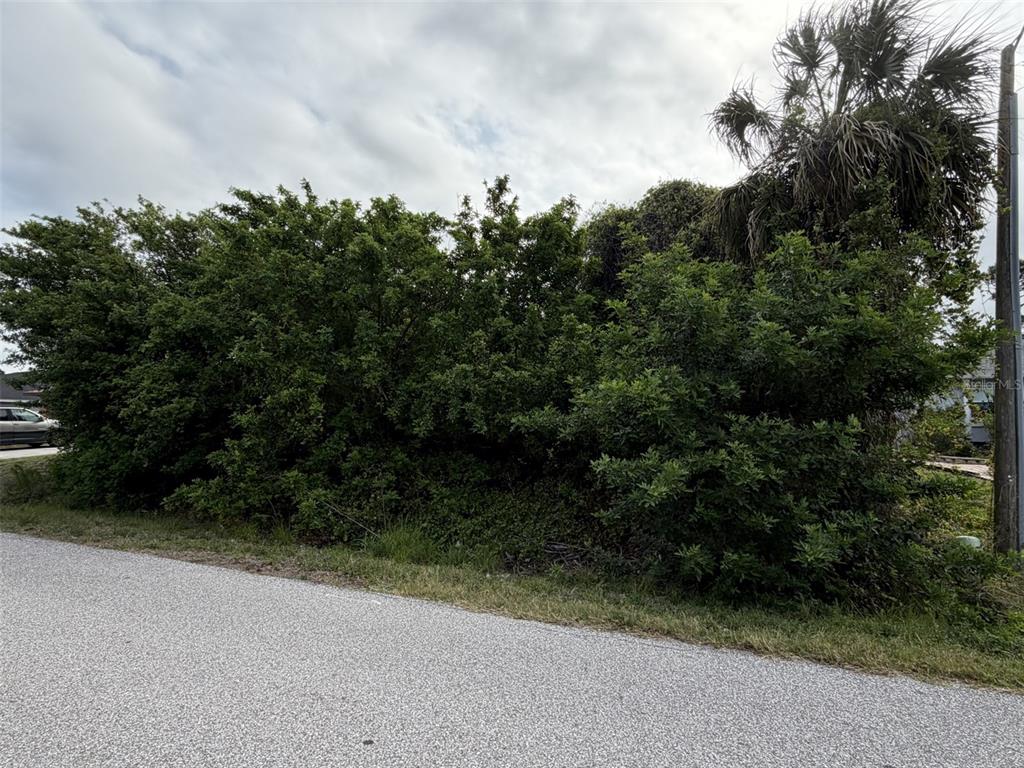 A dense thicket of green shrubs and trees borders a paved asphalt road — 1352 ABALOM STREET, PORT CHARLOTTE, FL