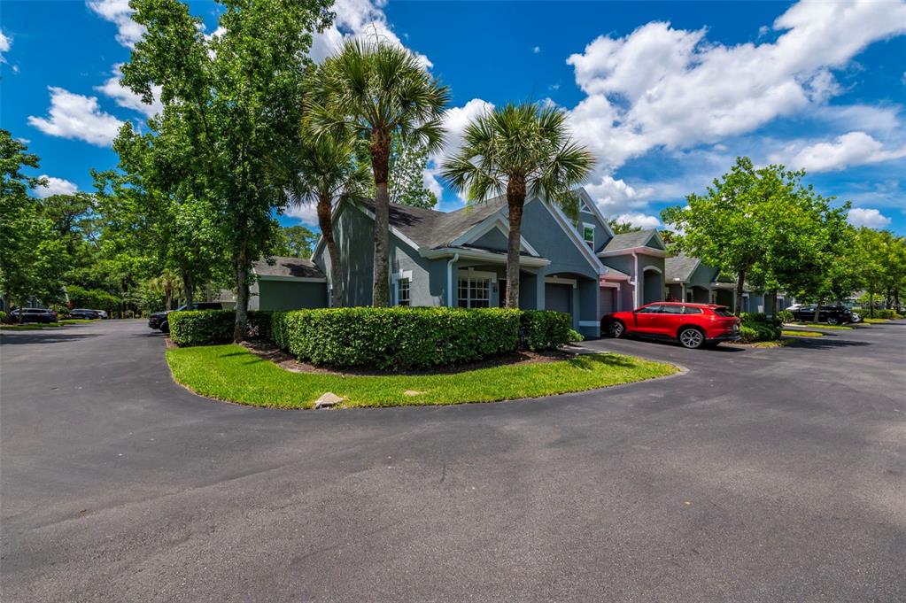 A gray single-story building with palm trees and a red car parked in front — 3638 TRAFALGAR WAY UNIT 101, PALM HARBOR, FL