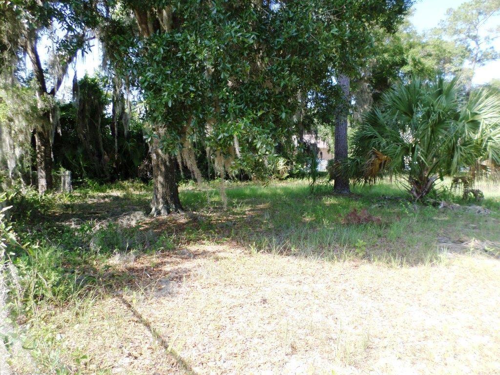 A wooded, grassy lot features large trees with Spanish moss and a small palm tree — 00 BLUE HERON CT, DUNNELLON, FL