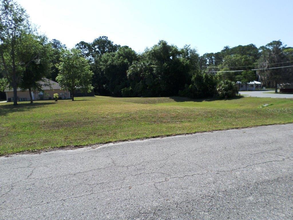 A vacant, grassy residential lot is viewed from an adjacent paved street — 00 BLUE HERON CT, DUNNELLON, FL
