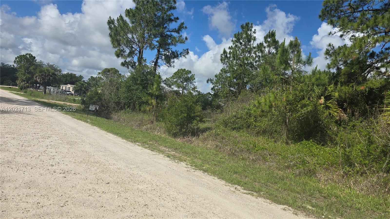 A dirt road runs alongside a vacant, wooded lot with a for sale sign — 180 S Kennel ST, Clewiston FL 33440, CLEWISTON, FL
