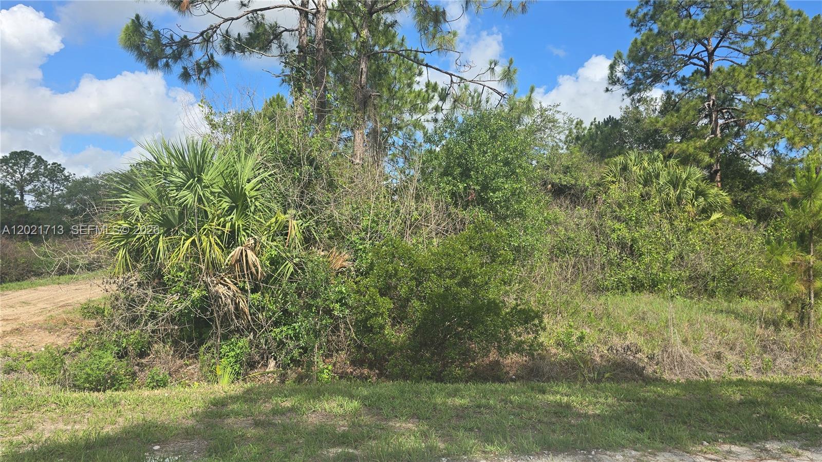 A dense patch of trees and shrubs grows on a grassy, undeveloped lot — 180 S Kennel ST, Clewiston FL 33440, CLEWISTON, FL