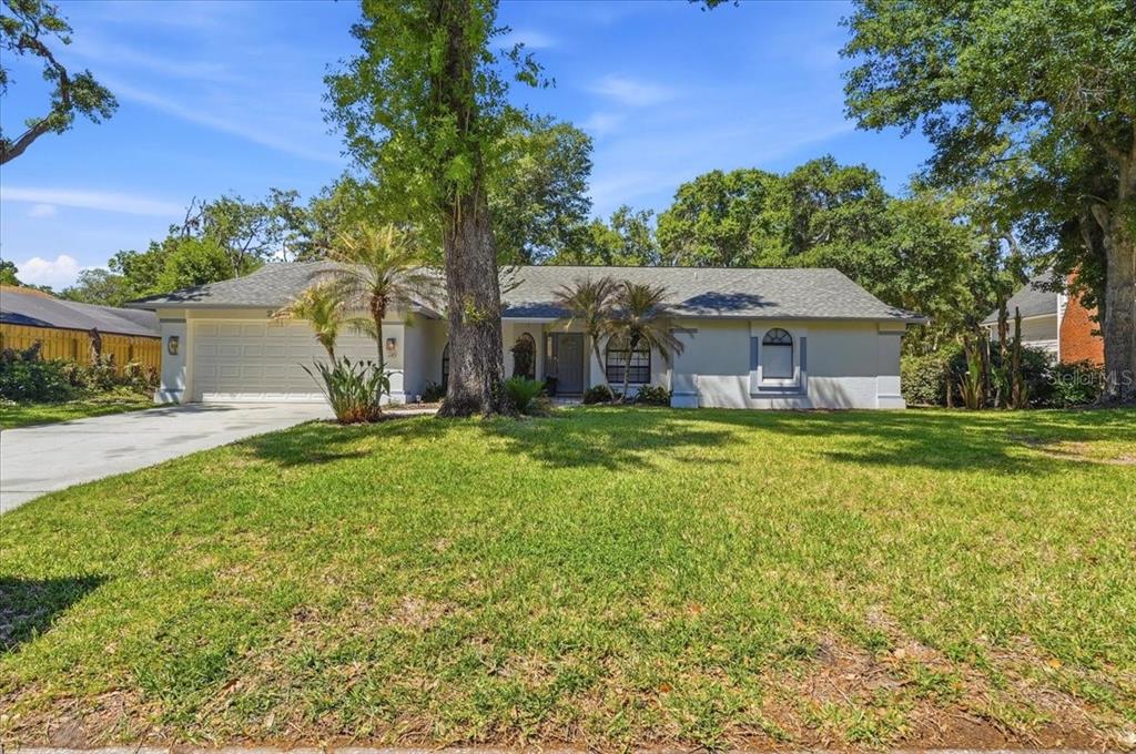A single-story house with a two-car garage, a large front lawn, and mature trees — 2800 HAMMOCK DRIVE, PLANT CITY, FL