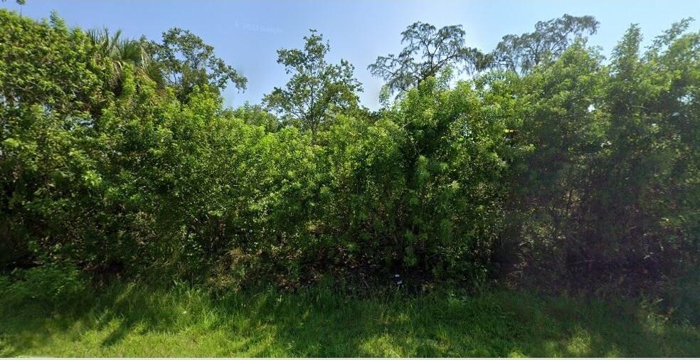 A dense thicket of green trees and shrubs grows along a grassy roadside — Lot 10 Taft Avenue, Palm Bay FL 32909, PALM BAY, FL