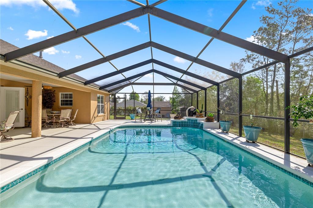 A screened-in swimming pool with a patio area and a view of the backyard — 10411 SW 52ND COURT, OCALA, FL