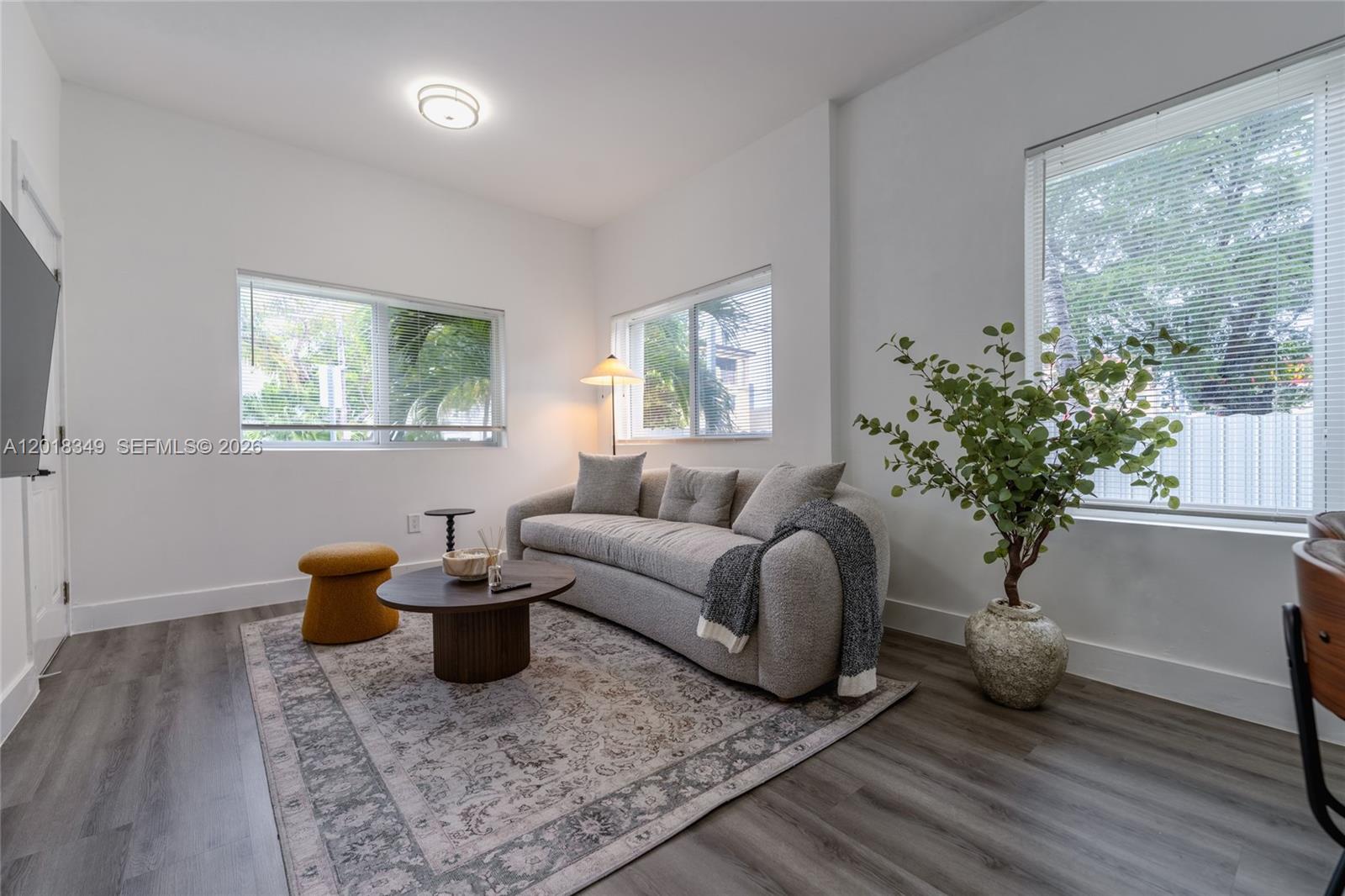 A living room features a grey sofa, a patterned area rug, and two windows — 44 NW 10th Ave # 2, Miami FL 33128, MIAMI, FL