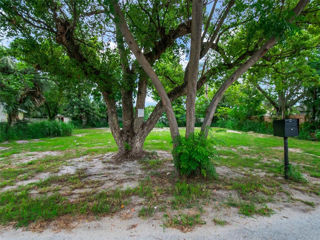 A vacant, grassy lot features two large trees and a black mailbox near the road — 11613 RANCHO DRIVE, LEESBURG, FL