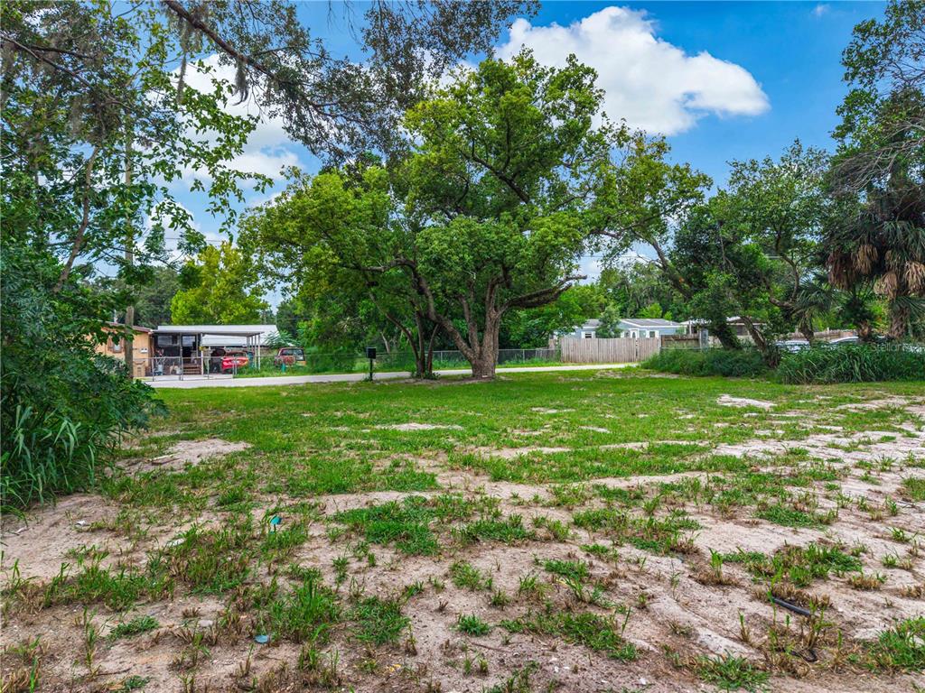 A large, grassy, partially cleared lot features a prominent tree and a neighboring house — 11613 RANCHO DRIVE, LEESBURG, FL