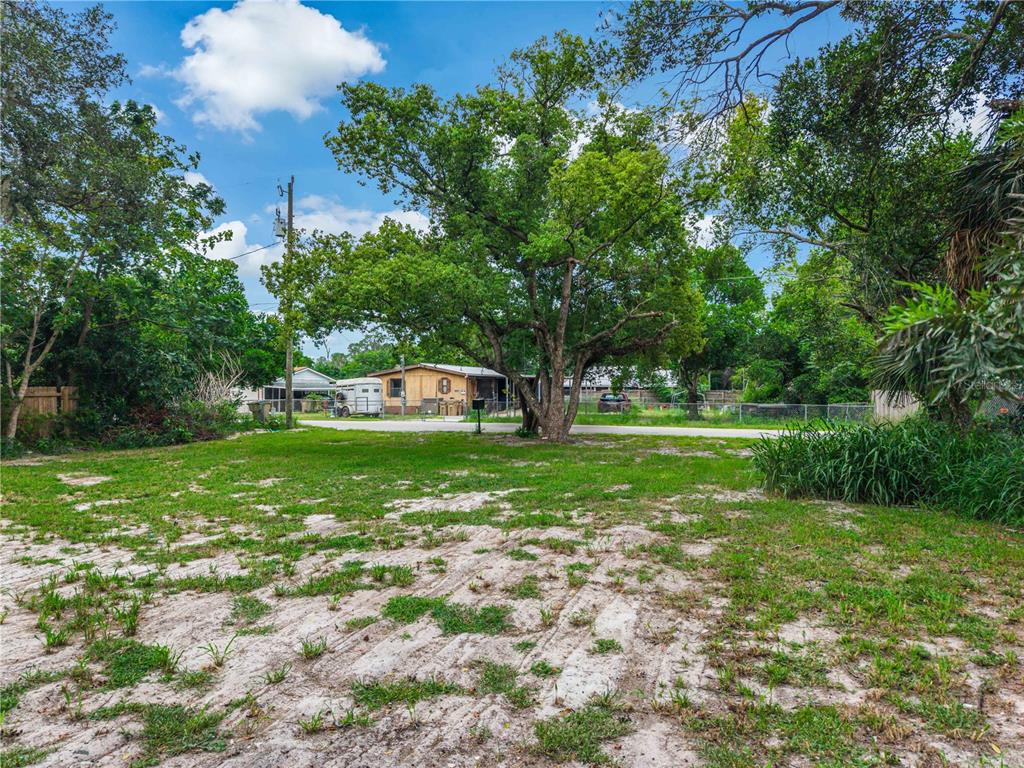 A grassy, sandy vacant lot features a large tree and a view of neighboring houses — 11613 RANCHO DRIVE, LEESBURG, FL