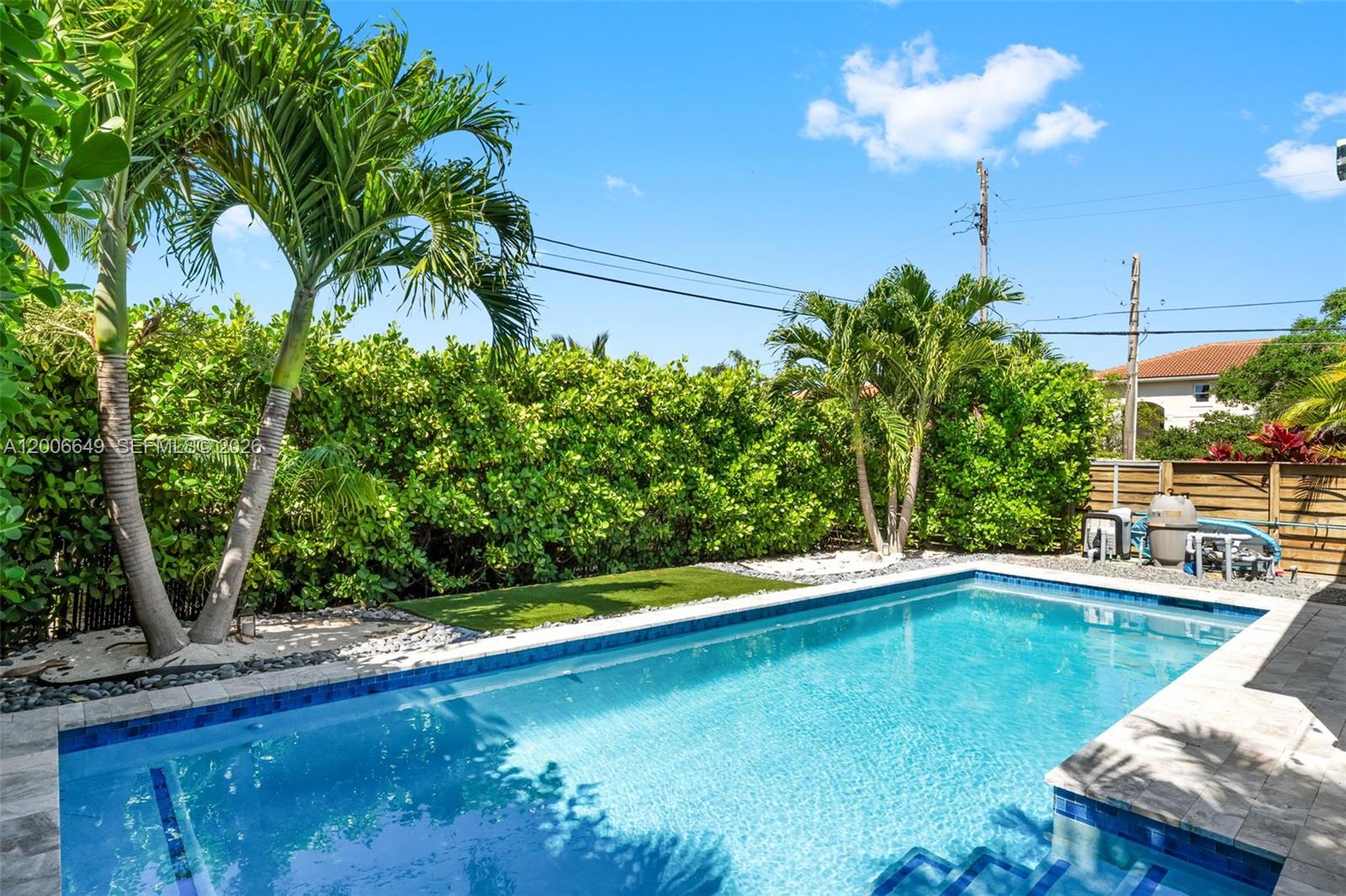 A rectangular swimming pool sits in a backyard with palm trees and a privacy hedge — 930 N 11th Ct # 0, Hollywood FL 33019, HOLLYWOOD, FL