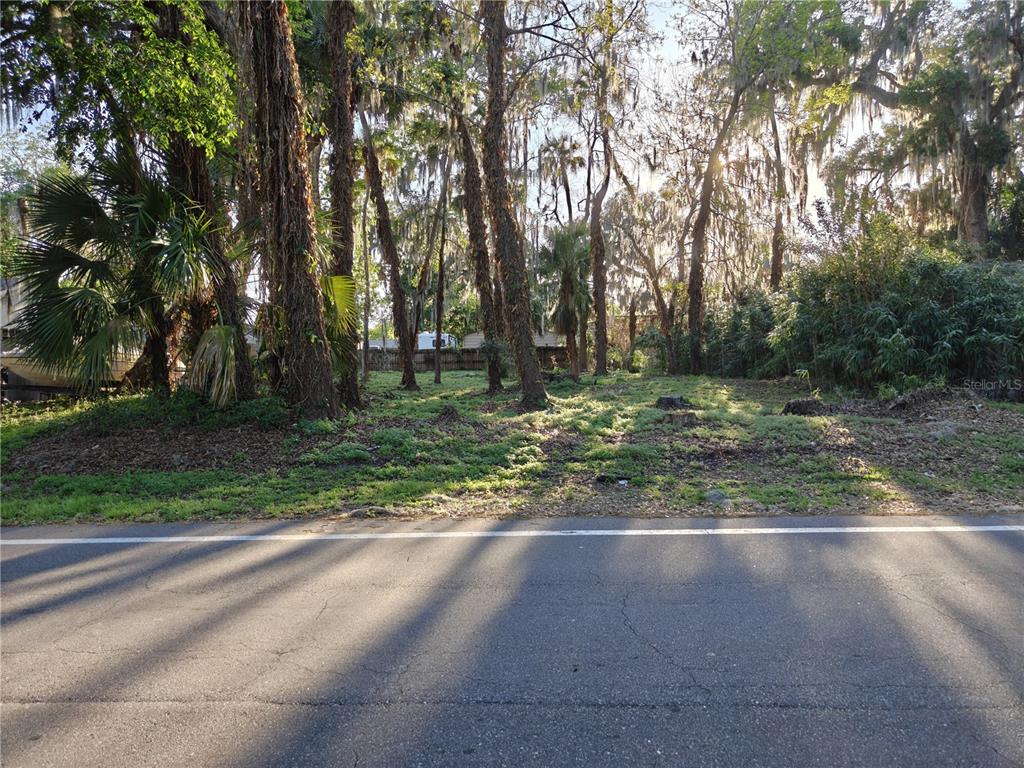 2214 NEEDLE PALM DRIVE, EDGEWATER, FL — photo 2 of 3