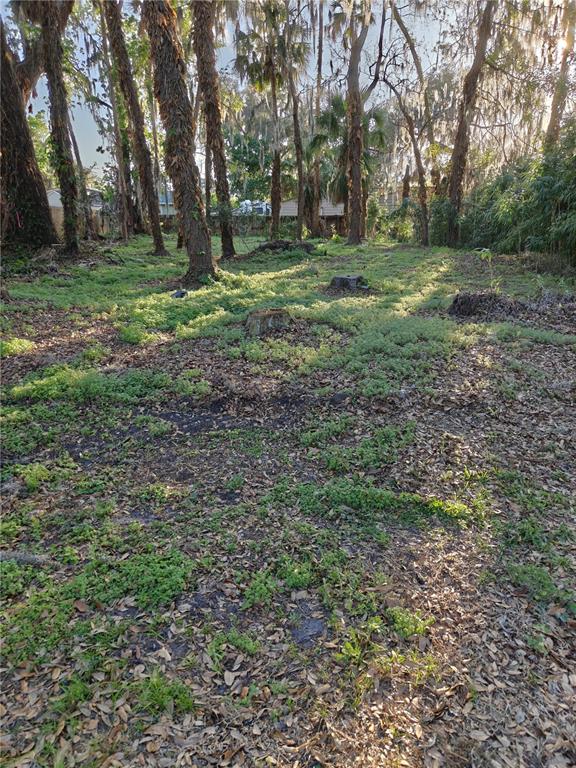 2214 NEEDLE PALM DRIVE, EDGEWATER, FL — photo 3 of 3
