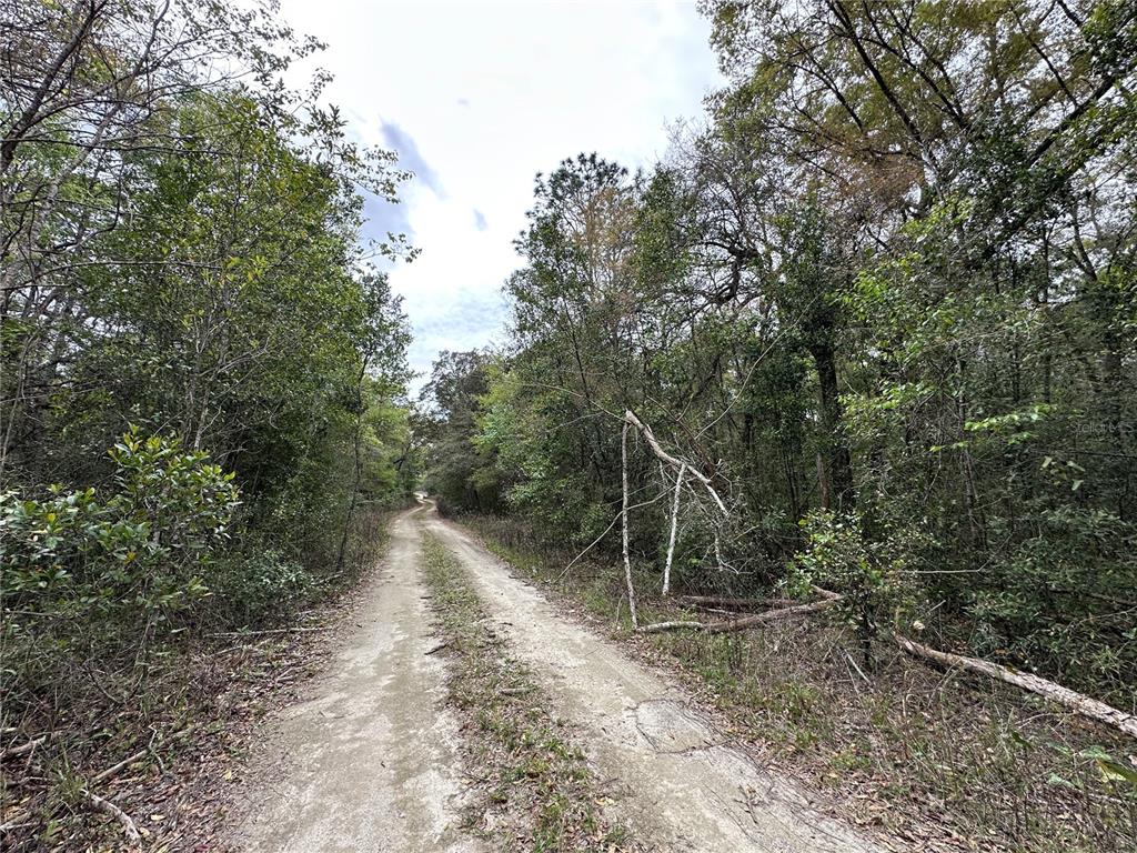 tbd NE 154TH TERRACE, WILLISTON, FL — photo 2 of 3