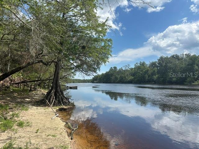 A sandy riverbank sits beside a calm, dark-water river lined with dense green trees — 1109 NW 78TH AVENUE, BELL, FL