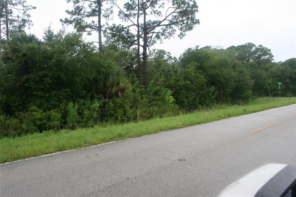 A paved road runs alongside a densely wooded, undeveloped lot with tall pine trees — 12295 CHANCELLOR BOULEVARD, PORT CHARLOTTE, FL