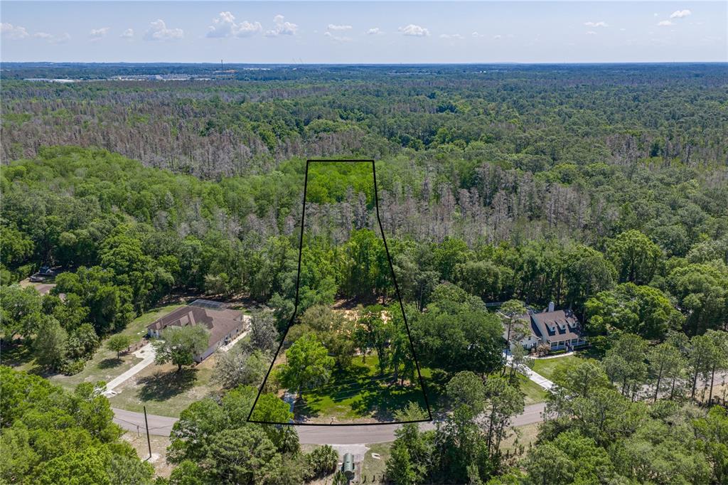8600 SHENANDOAH RUN, WESLEY CHAPEL, FL — photo 2 of 30