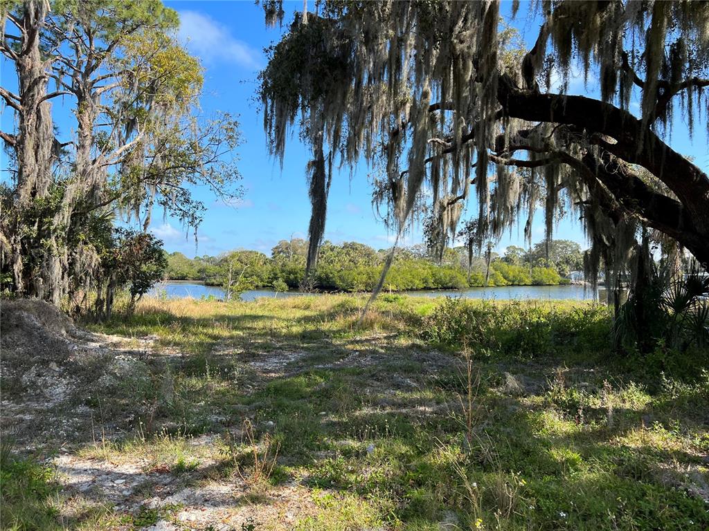 A grassy waterfront lot features large trees draped in Spanish moss under a blue sky — TIBERIUS TRAIL, NEW PORT RICHEY, FL