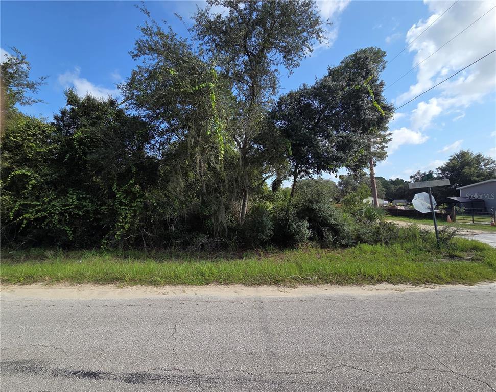 A vacant, wooded lot sits alongside a paved road under a blue sky — PINE STREET, PAISLEY, FL