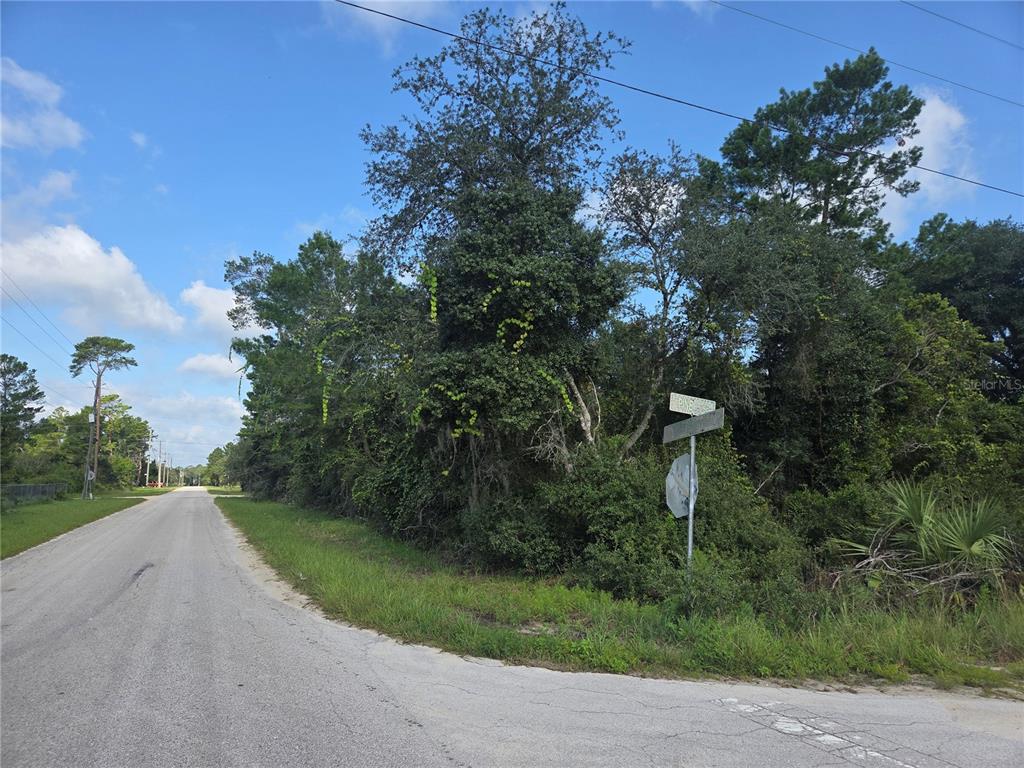 A paved road leads to a wooded corner lot with a street sign and stop sign — PINE STREET, PAISLEY, FL