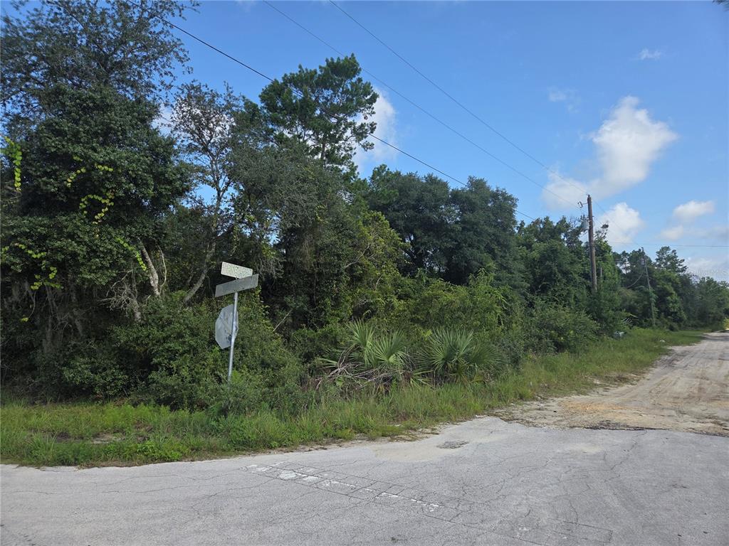 A street corner features a road sign and a dense, wooded lot under a blue sky — PINE STREET, PAISLEY, FL
