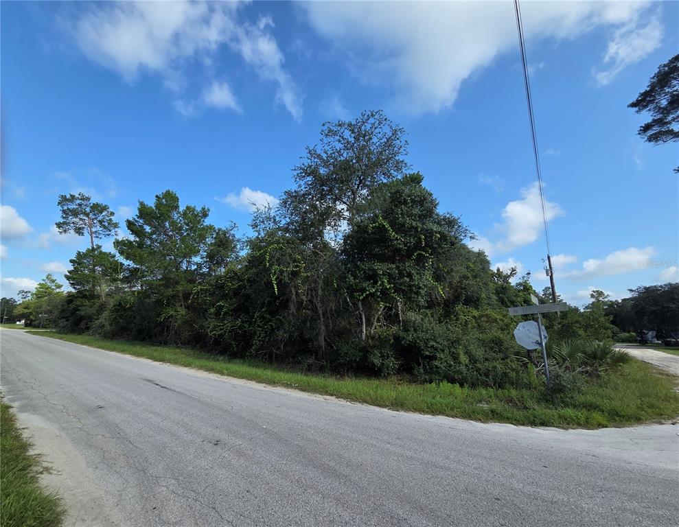 A paved road curves past a wooded, undeveloped corner lot under a blue sky — PINE STREET, PAISLEY, FL
