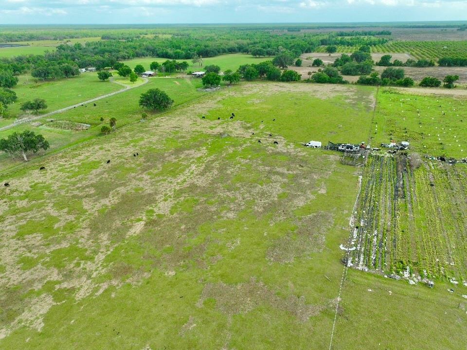 W ST RD 64, WAUCHULA, FL — photo 2 of 12