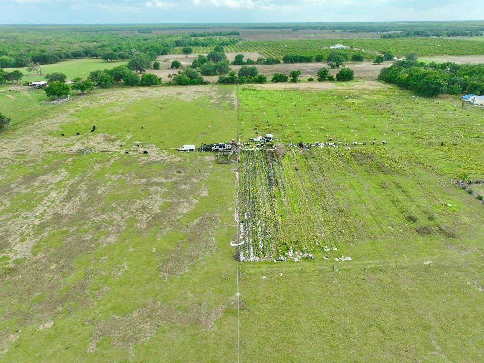 W ST RD 64, WAUCHULA, FL — photo 3 of 12