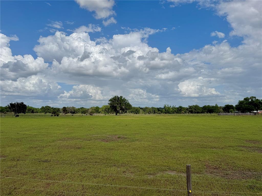 W ST RD 64, WAUCHULA, FL — photo 4 of 12