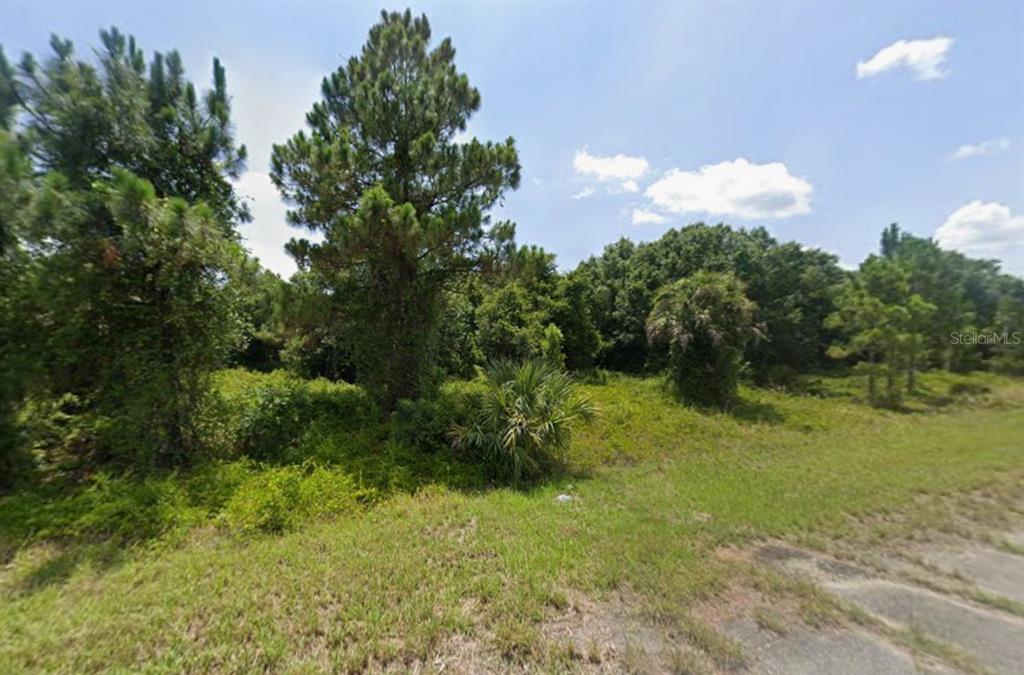 A grassy, undeveloped lot features a large pine tree and dense surrounding vegetation — Lot 17 OVERLOOK ROAD, NORTH PORT, FL
