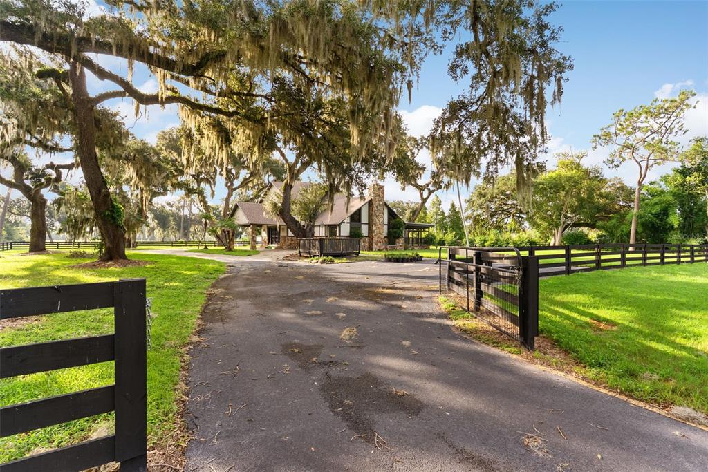 A paved driveway leads toward a house with a stone chimney under large oak trees — 12311 KELSO ROAD, THONOTOSASSA, FL