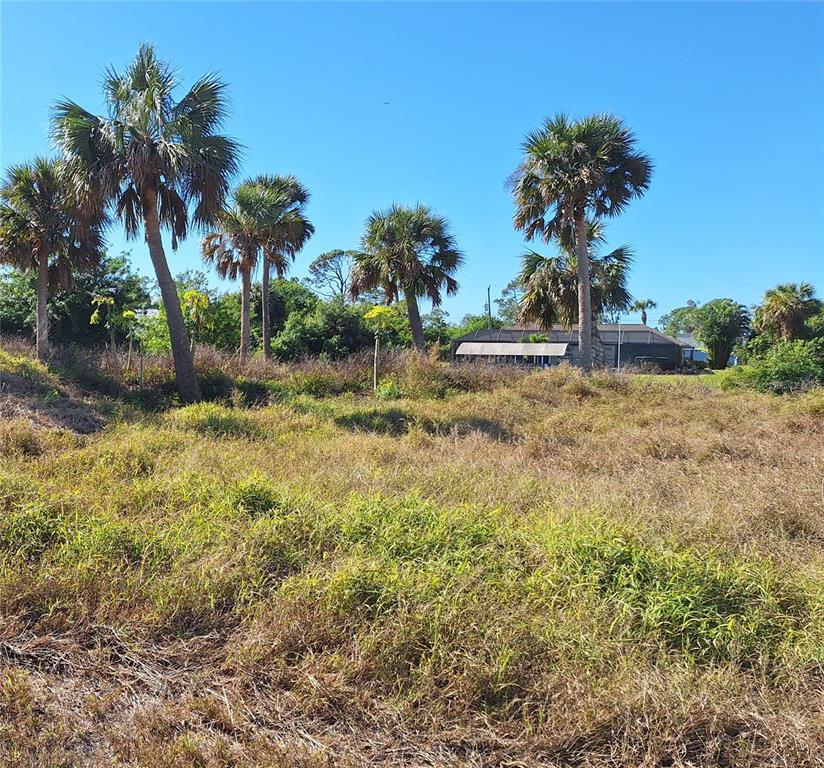 A grassy, undeveloped lot features several tall palm trees under a clear blue sky — 3173 ROCK CREEK DRIVE, PORT CHARLOTTE, FL