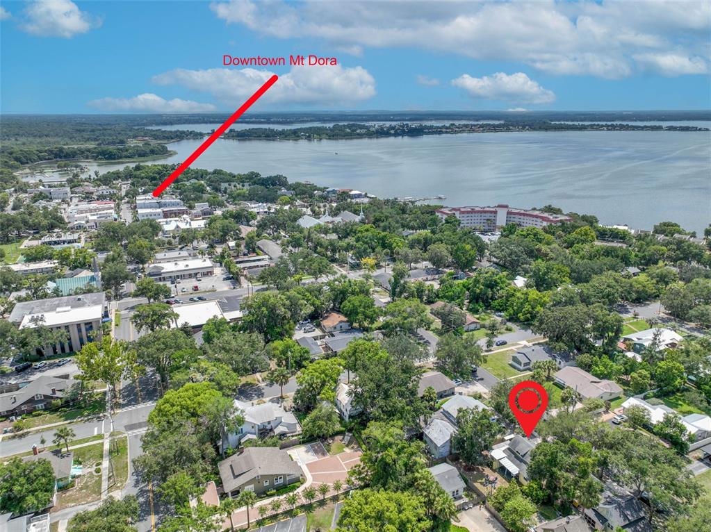 834 N ALEXANDER STREET, MOUNT DORA, FL — photo 2 of 23