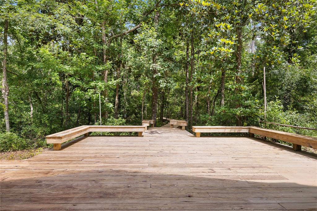 A wooden deck with built-in benches is surrounded by a dense forest of trees — 8250 WAUKEENAH HIGHWAY, MONTICELLO, FL