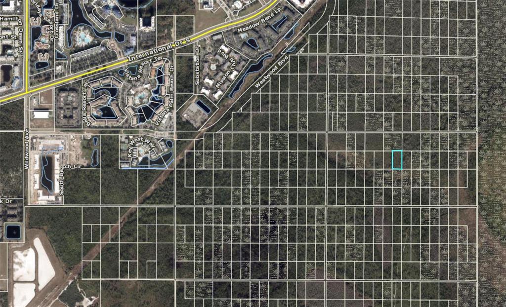 This is a satellite map showing a highlighted rectangular land parcel within a grid — INTERNATIONAL DR S, ORLANDO, FL