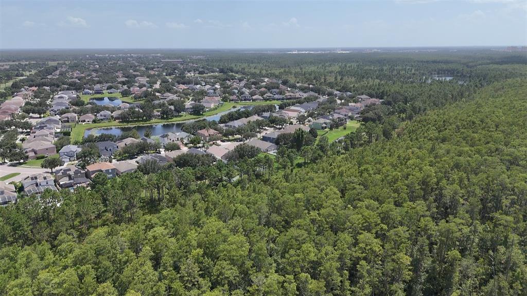 An aerial view shows a suburban neighborhood bordering a large expanse of dense green forest — INTERNATIONAL DR S, ORLANDO, FL